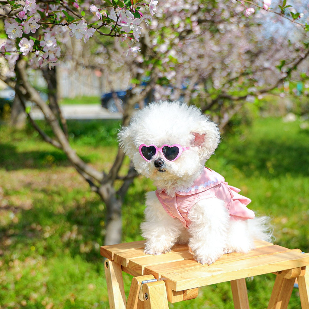 Dog Cute Heart Tutu Dress Harness Outfit_CWMM13092