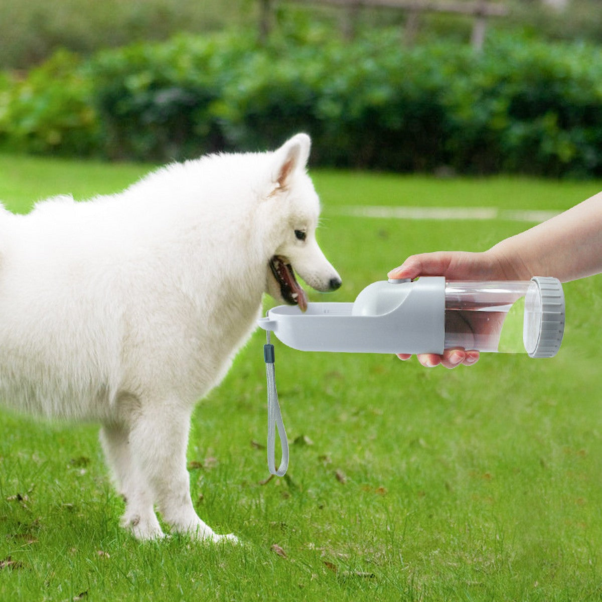 Pet Travel Water Bottle for Dogs Cats_CWMM12692