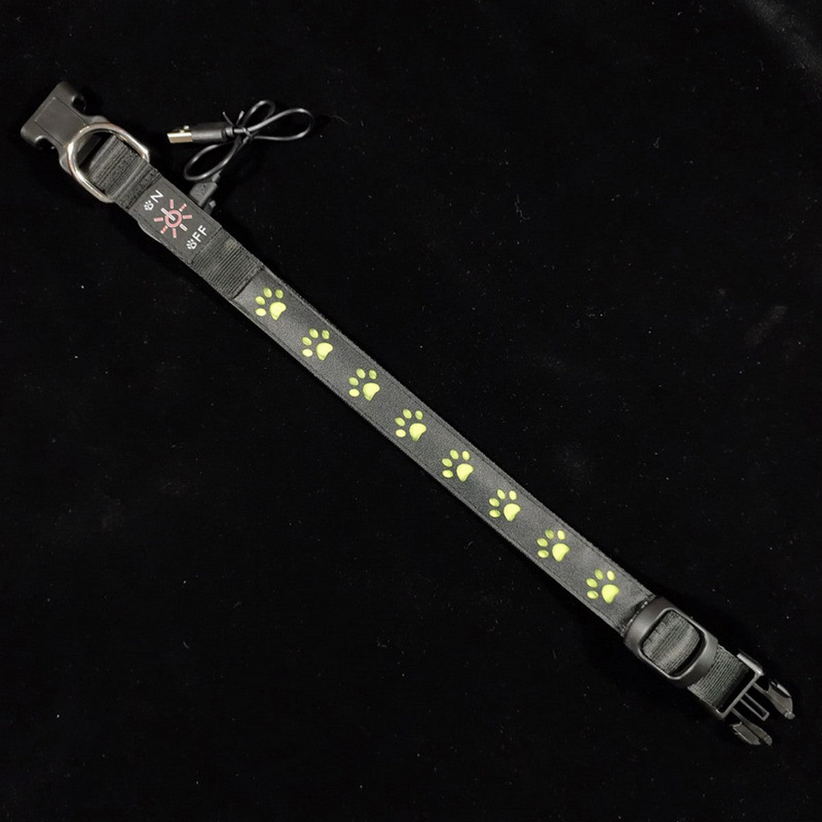 LED Paw Dog Collar USB Rechargeable Safety_CWMM11454