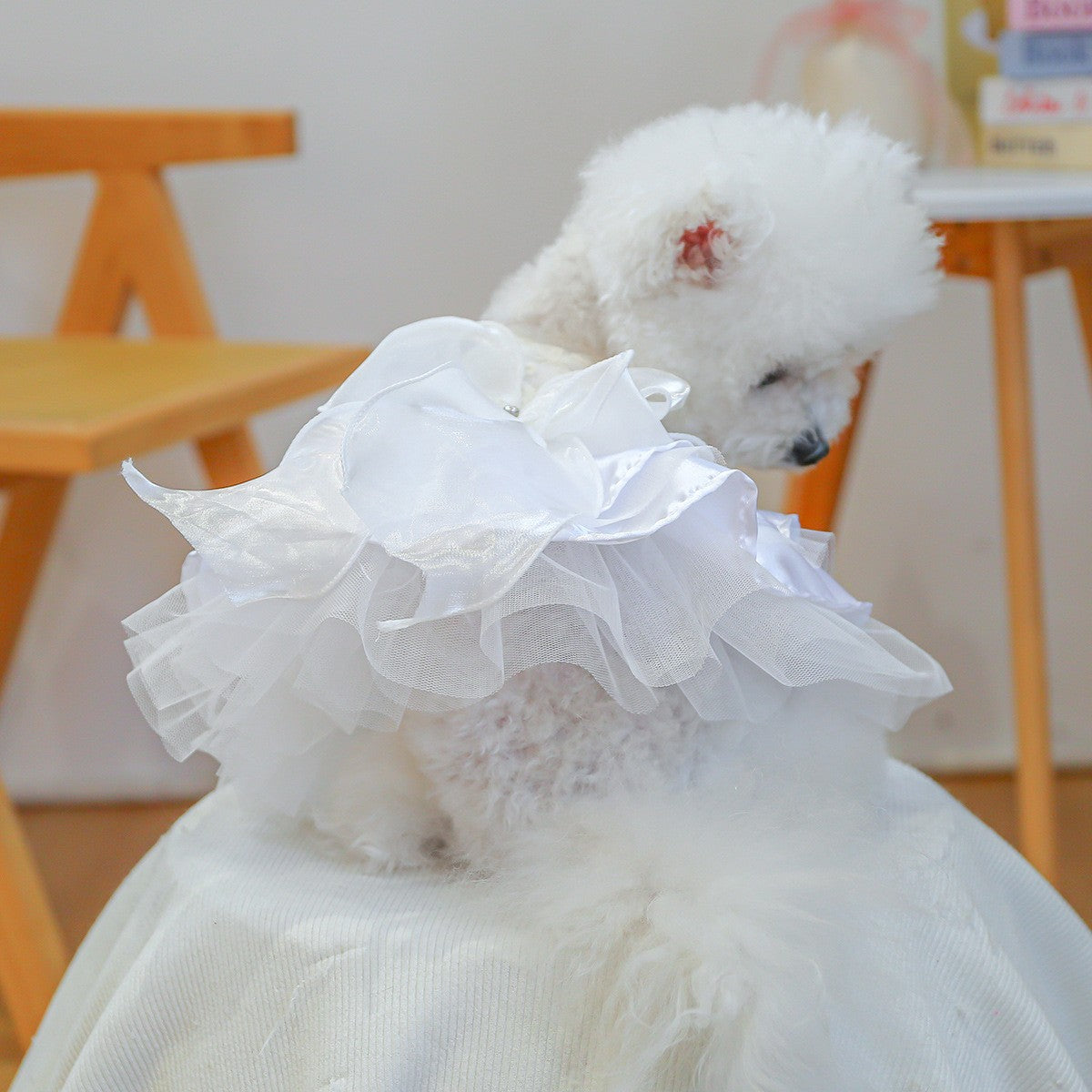 Cute Pet Ballet Tulle Princess Dress_CWMM13091