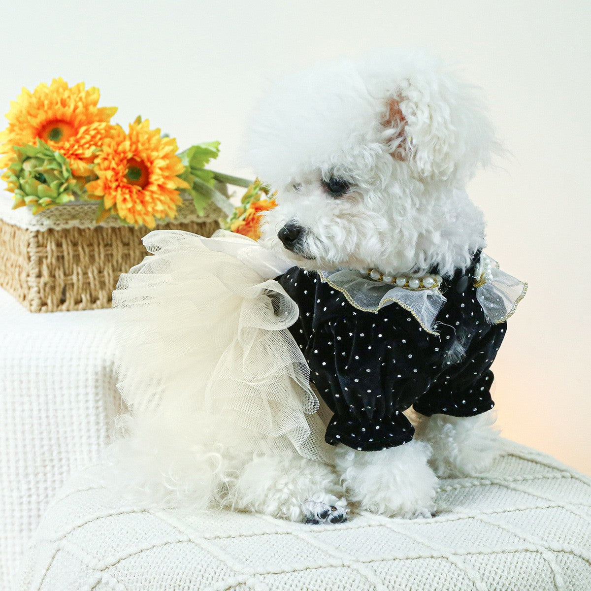 Cute Pet Princess Dress Tulle Lace Skirt_CWMM13013