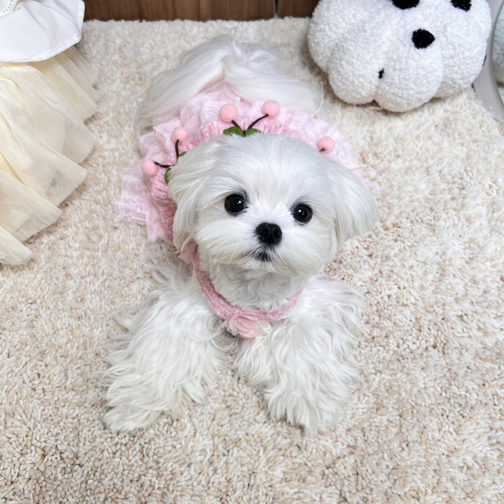 Cute Princess Dress for Dogs and Cats_CWMM12304