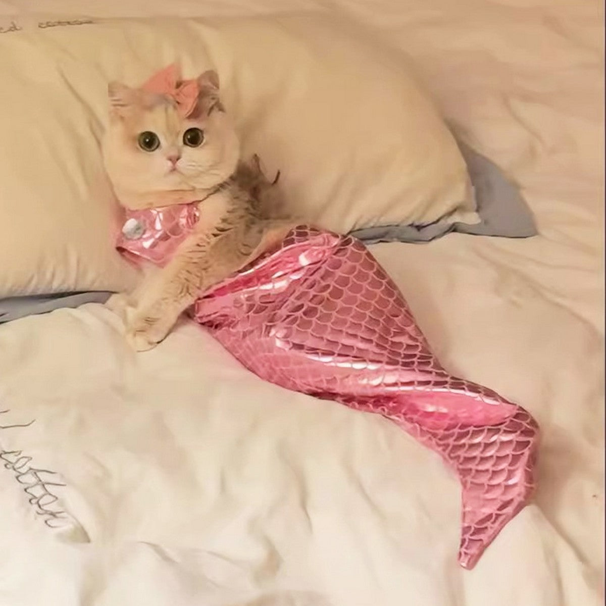 Pet Standing Mermaid Costume Outfit_CWMM12880