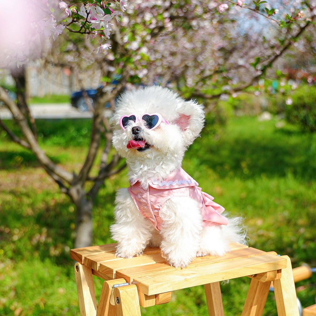 Dog Cute Heart Tutu Dress Harness Outfit_CWMM13092