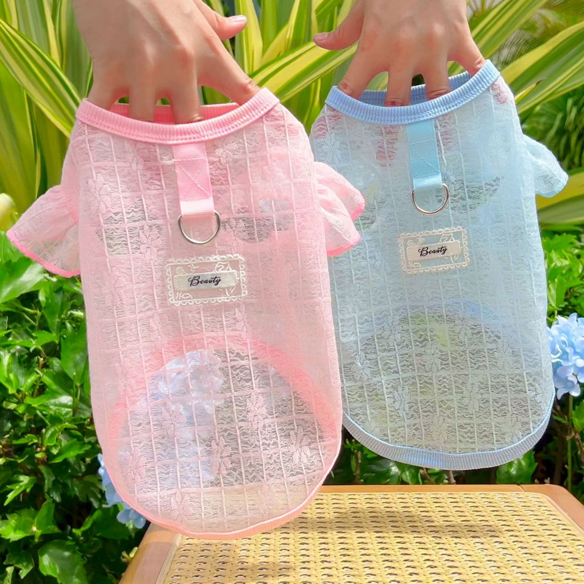 Flutter Sleeve Top with Soft Stretch_CWMM11127