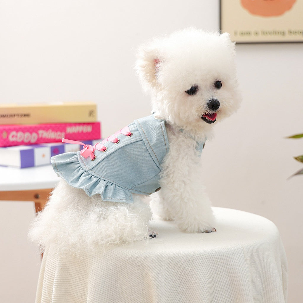Pet Cozy Denim Dress Cute Heart Skirt_CWMM13012