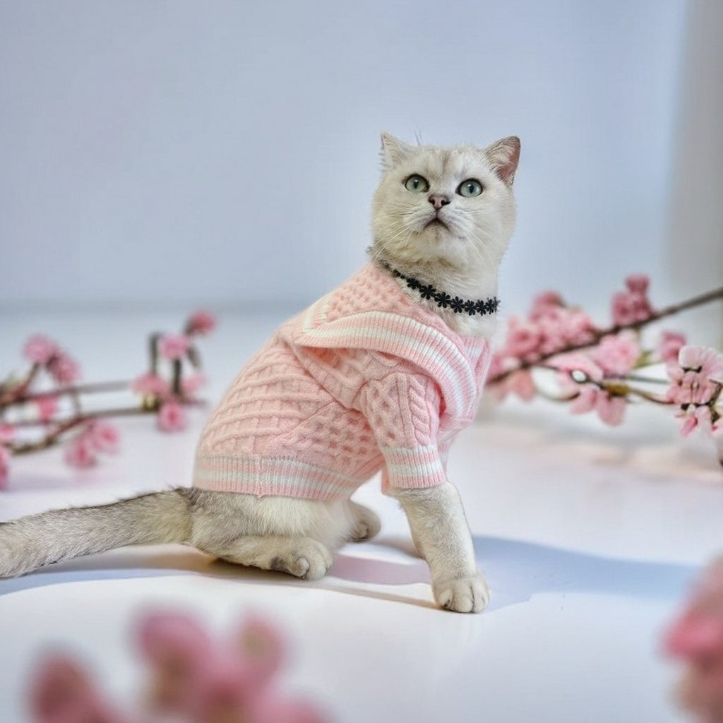 Nautical Collar Knit Dog Sweater_CWMM12303