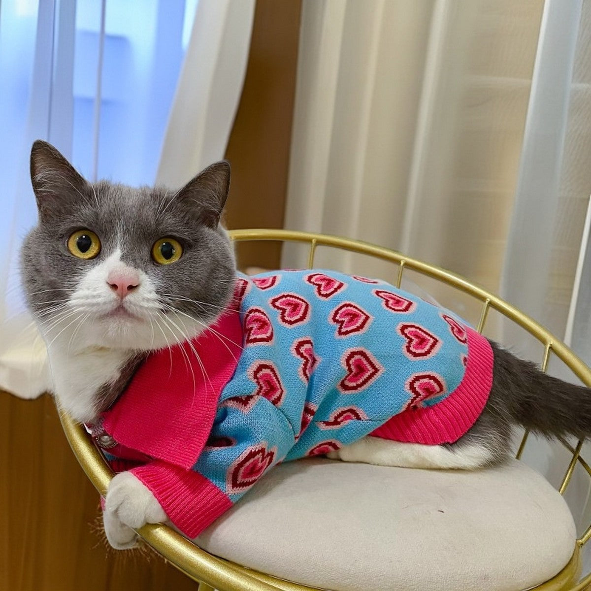 Fashion Heart Collar Dog Cat Sweater_CWMM12352