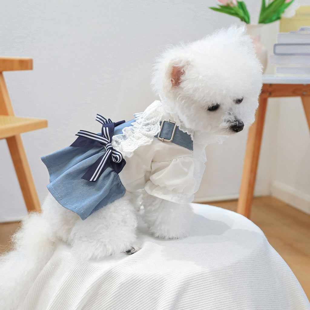 Pet Cozy Denim Dress Summer Beach Skirt_CWMM13045