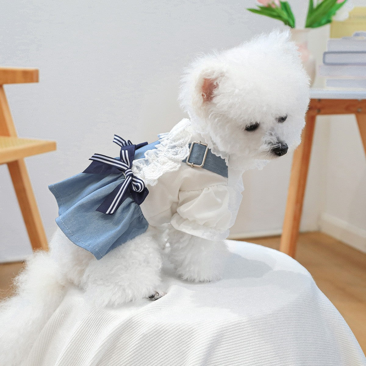 Pet Cozy Denim Dress Summer Beach Skirt_CWMM13045