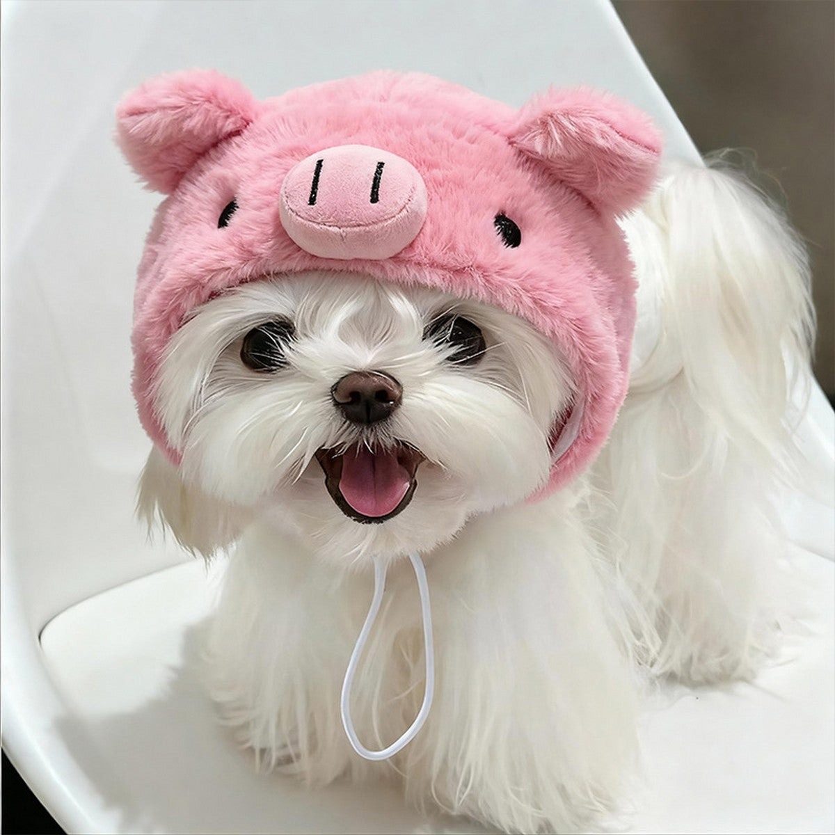 Pet Pig Costume Hat for Dogs Cats_CWMM12788
