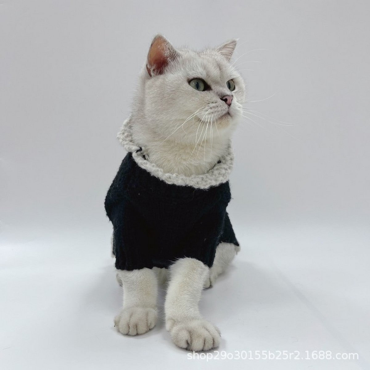 Designer Style Dog Cat Knit Sweater_CWMM12349
