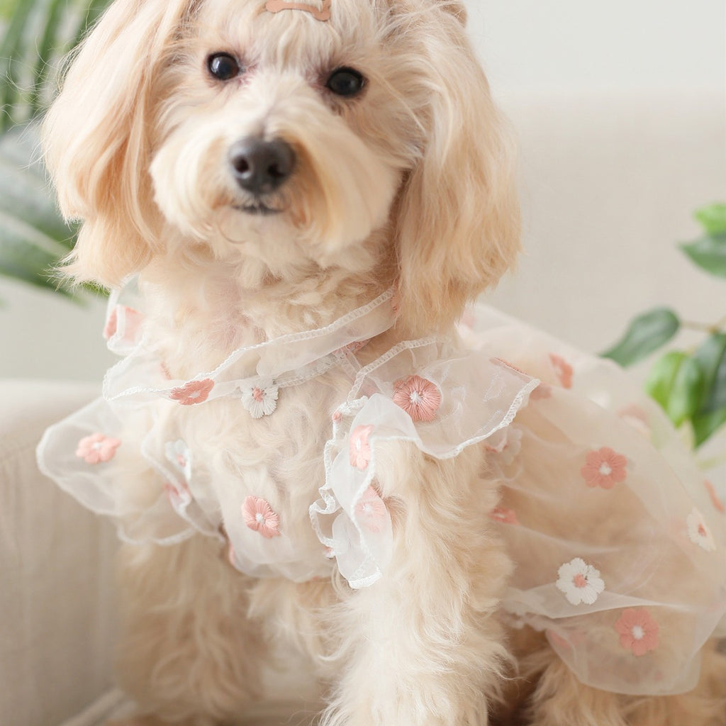 Puff Sleeve Pet Dress Embroidered Daisy_CWMM13246