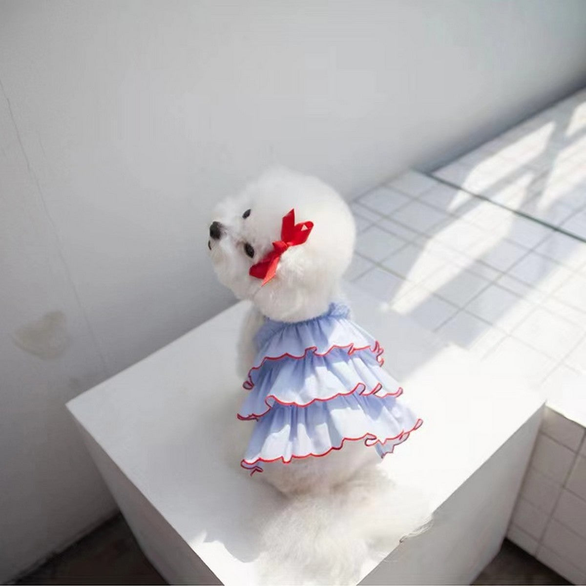 Cute Summer Pet Dress – Breathable Outfit_CWMM11170