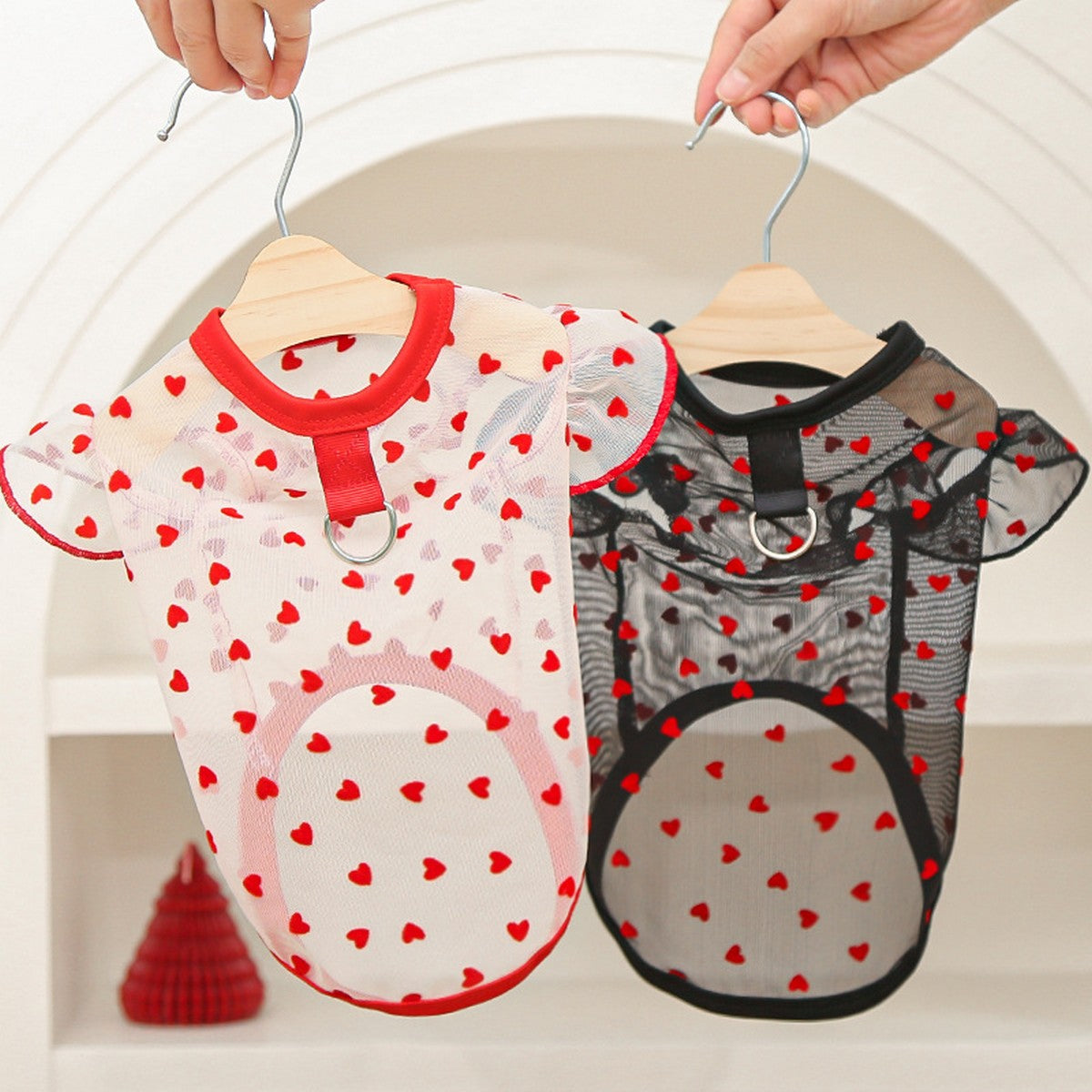 Airy Mesh & Flutter Sleeve Design_CWMM11125