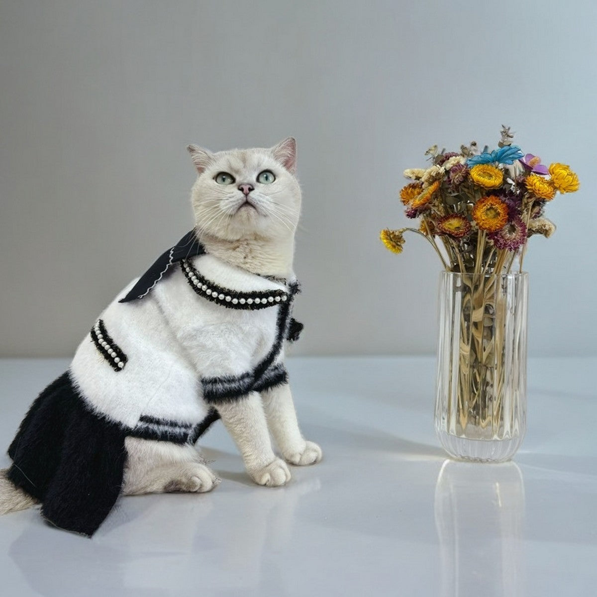 Winter Knit Pet Dress for Dogs and Cats_CWMM12280