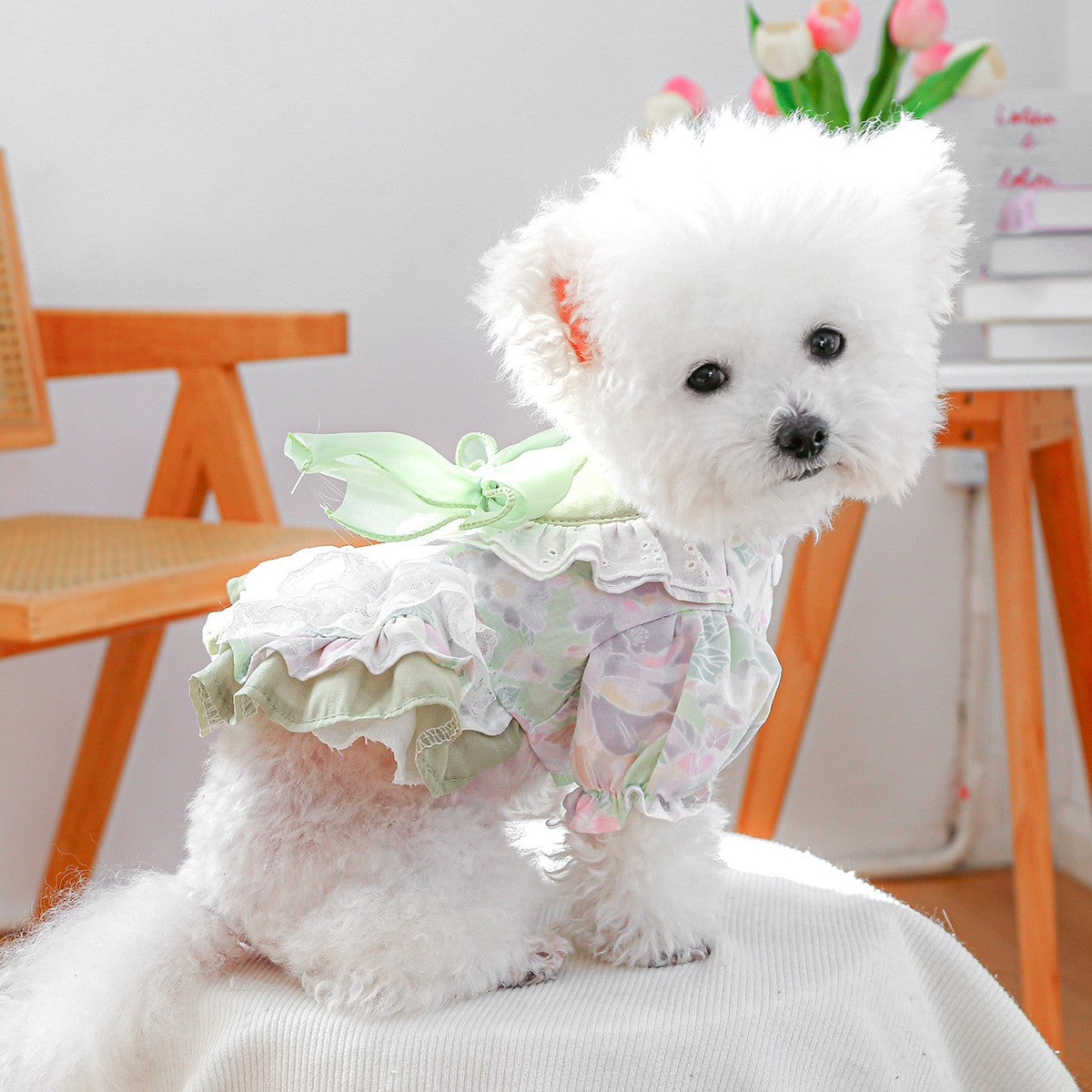 Small Pet Green Fantasy Tulle Dress_CWMM13115