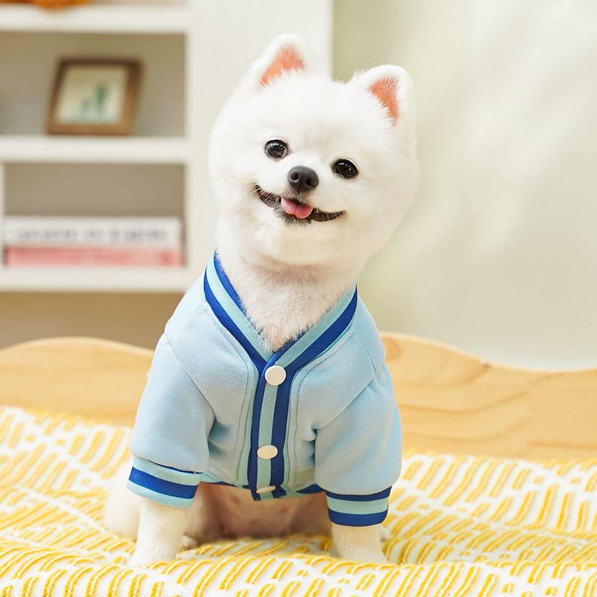 Trendy Pet Jacket – Warm Sporty Baseball Look_CWMM11169