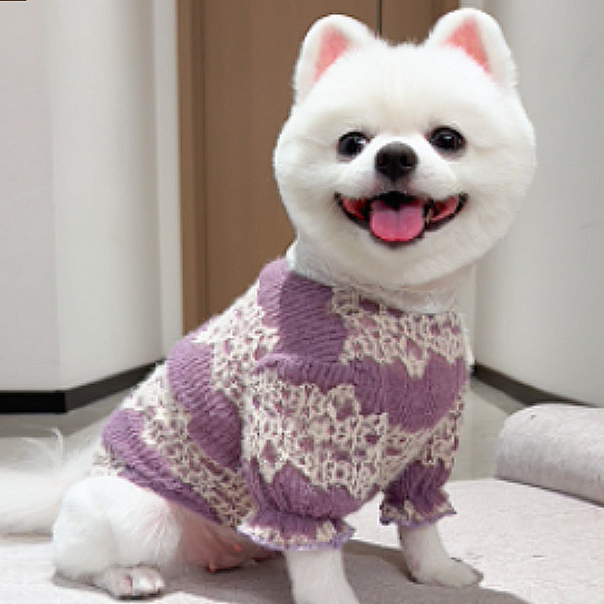 Lace Pet Turtleneck – Warm Winter Dog & Cat Shirt_CWMM11075