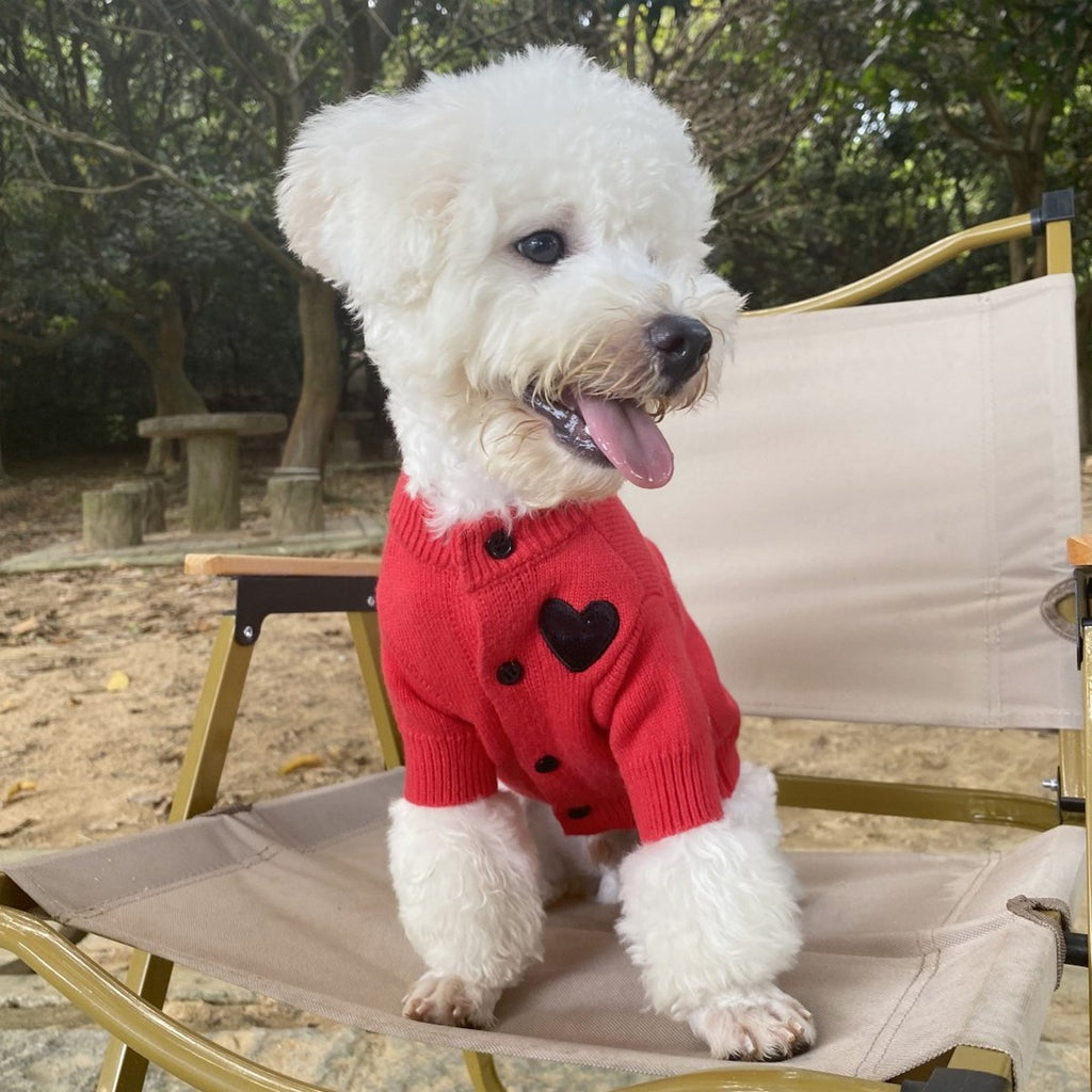 Striped Knit Dog Cat Sweater with Heart_CWMM12305