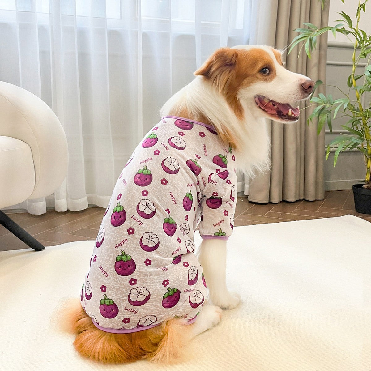 Spring Summer Cat & Dog Rompers_CWMM11132