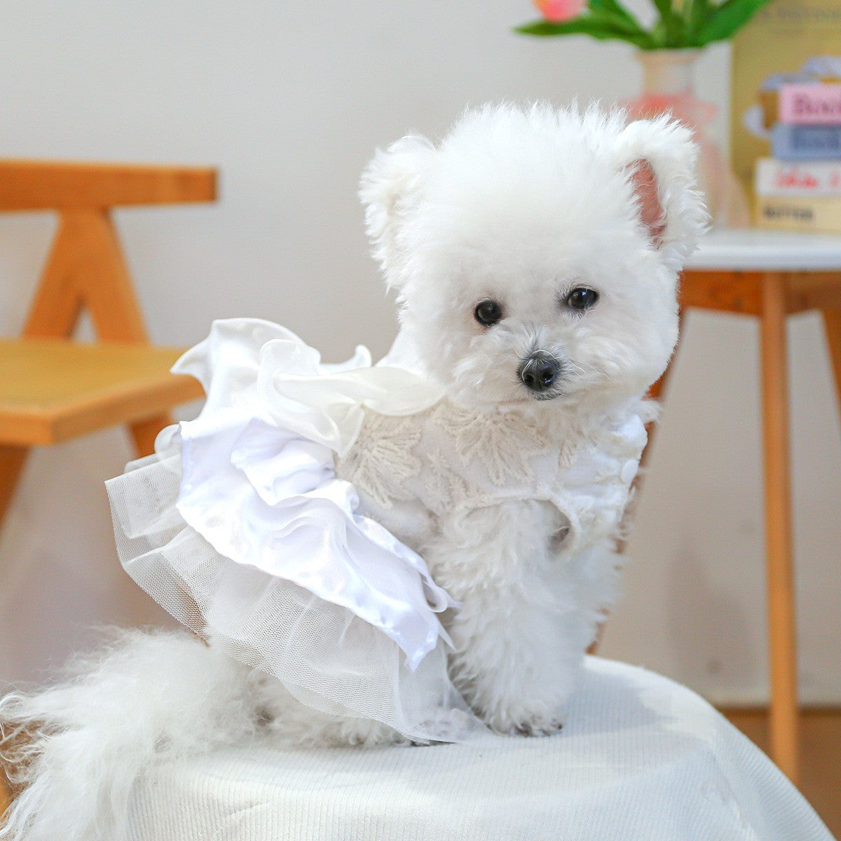 Cute Pet Ballet Tulle Princess Dress_CWMM13091