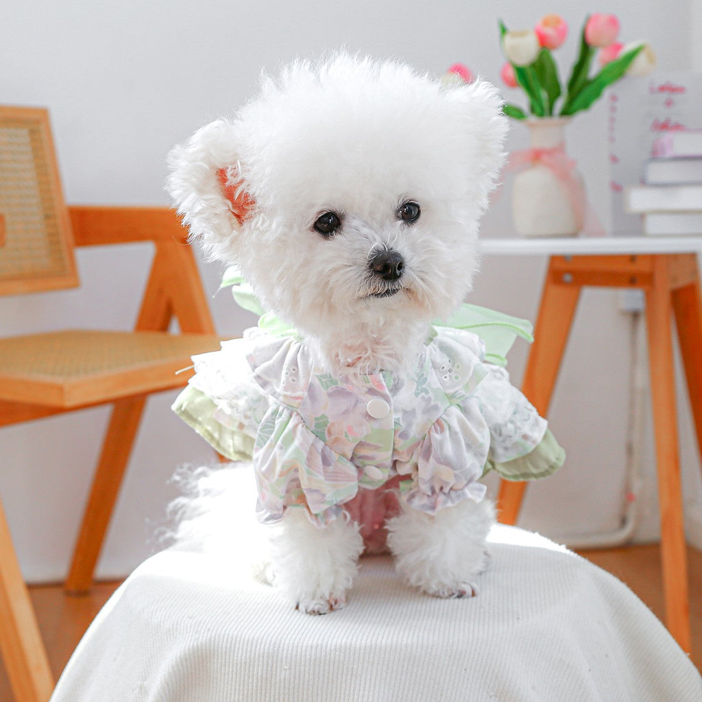 Small Pet Green Fantasy Tulle Dress_CWMM13115