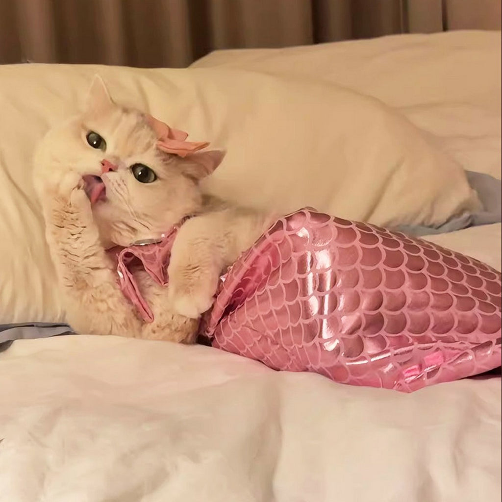 Pet Standing Mermaid Costume Outfit_CWMM12880