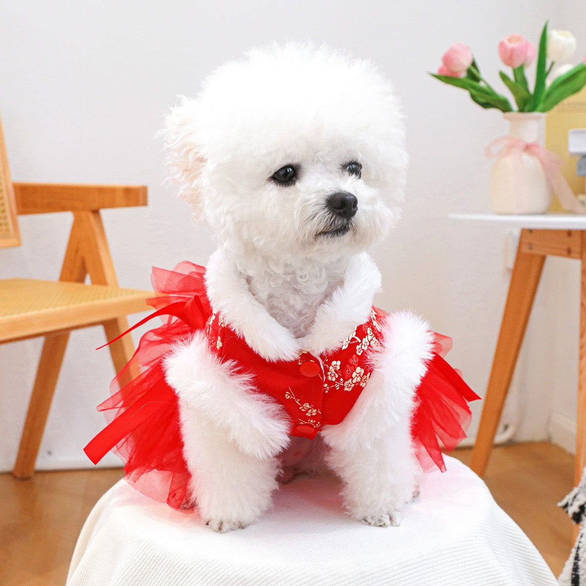 Dog Cat Cute Red Celebration Dress_CWMM13014