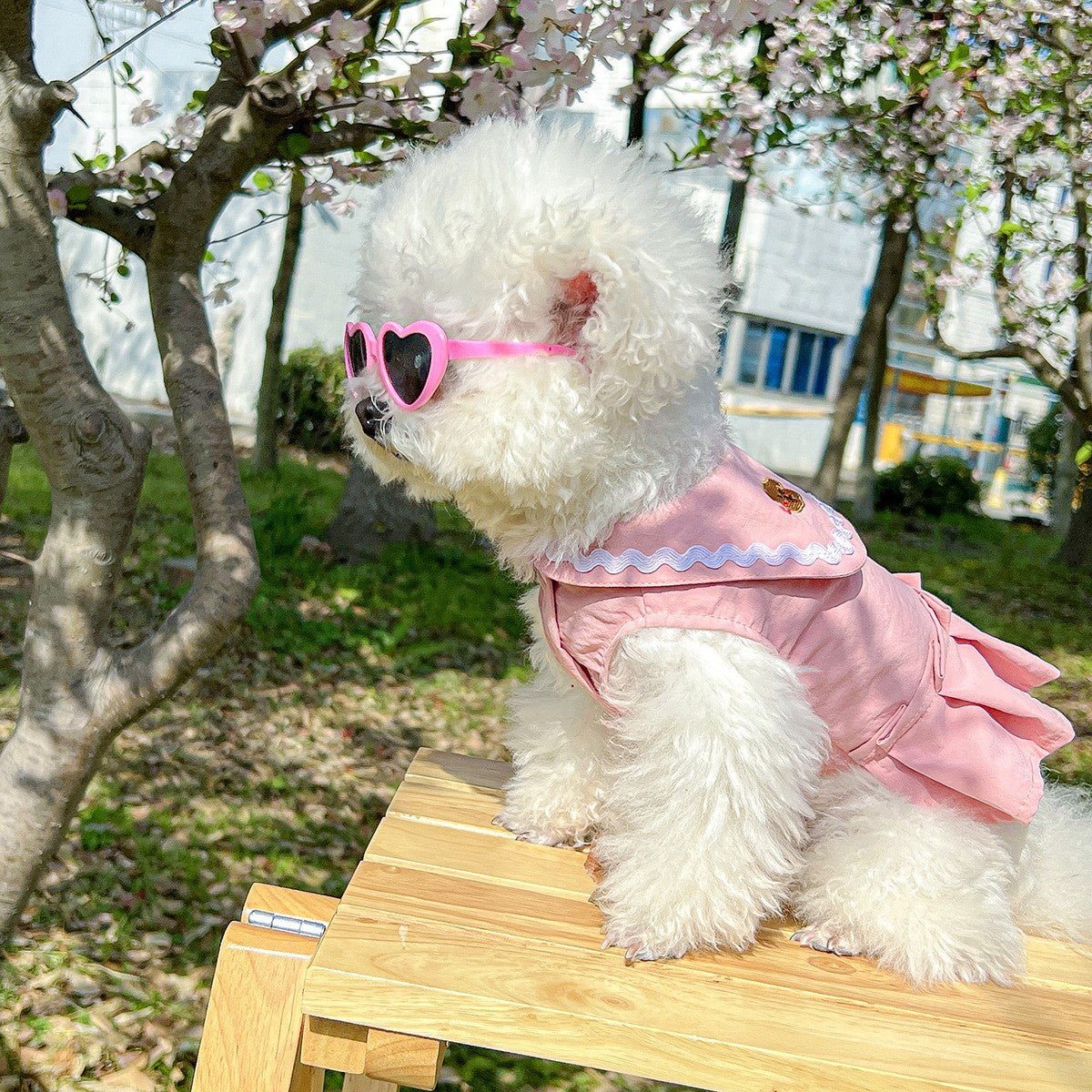 Dog Cute Heart Tutu Dress Harness Outfit_CWMM13092