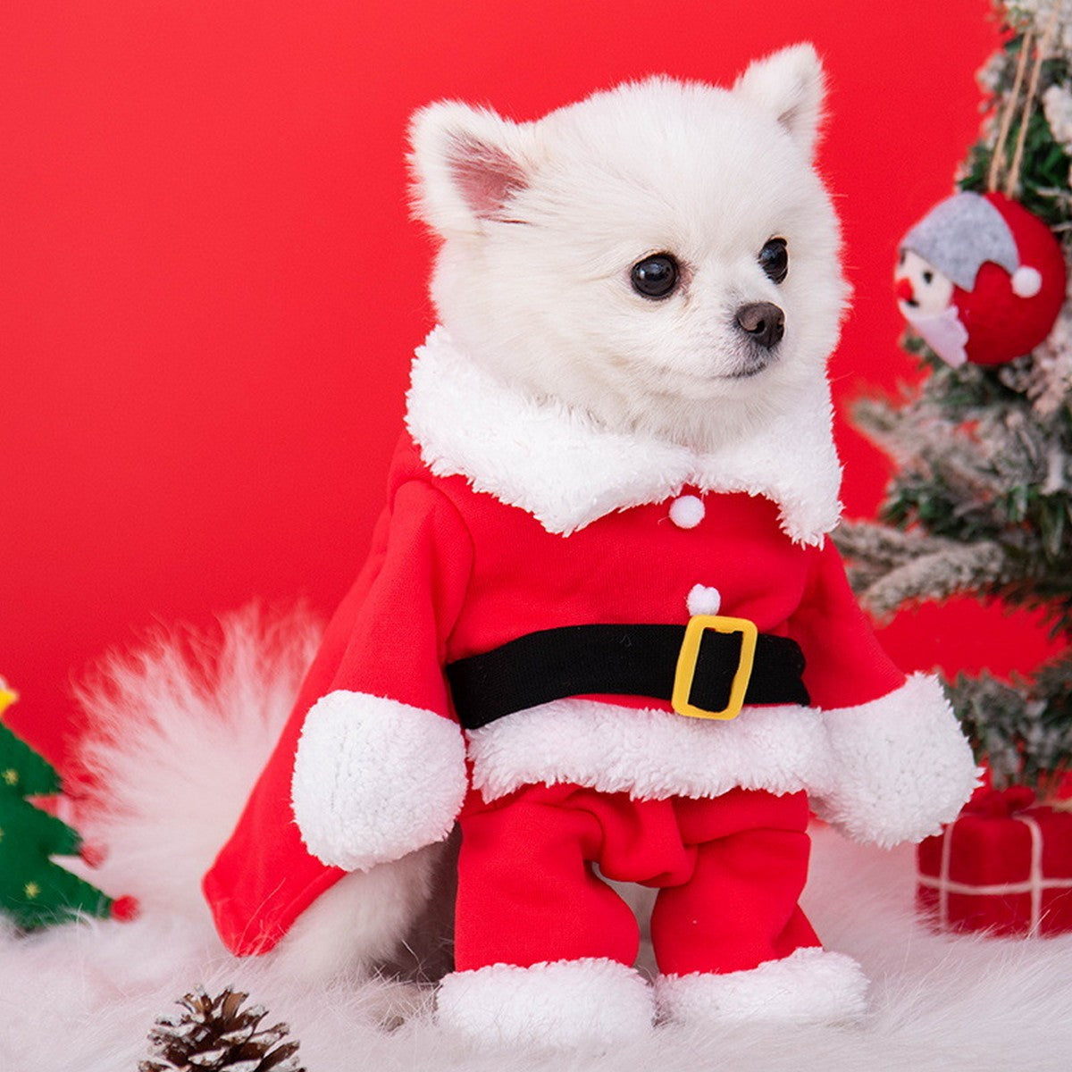 Pet Christmas Costume for Dogs and Cats_CWMM12878