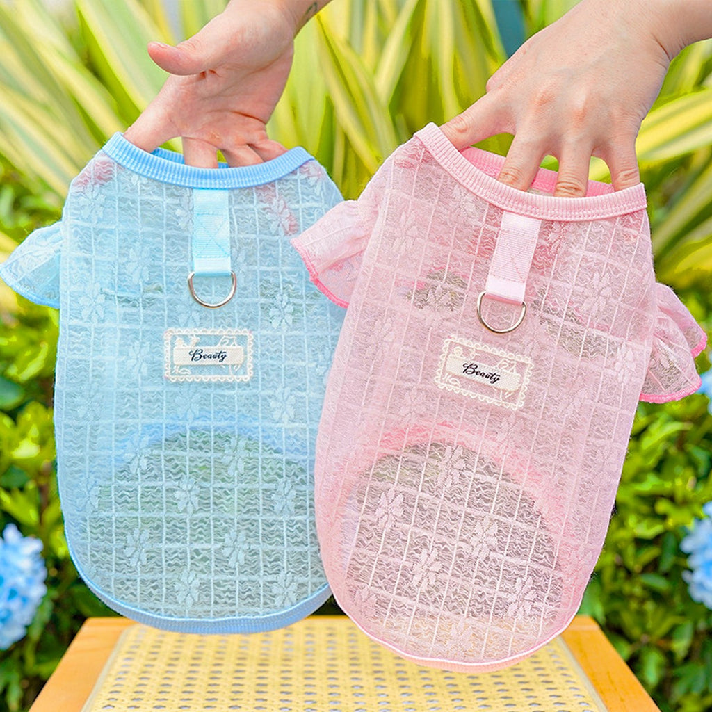 Flutter Sleeve Top with Soft Stretch_CWMM11127