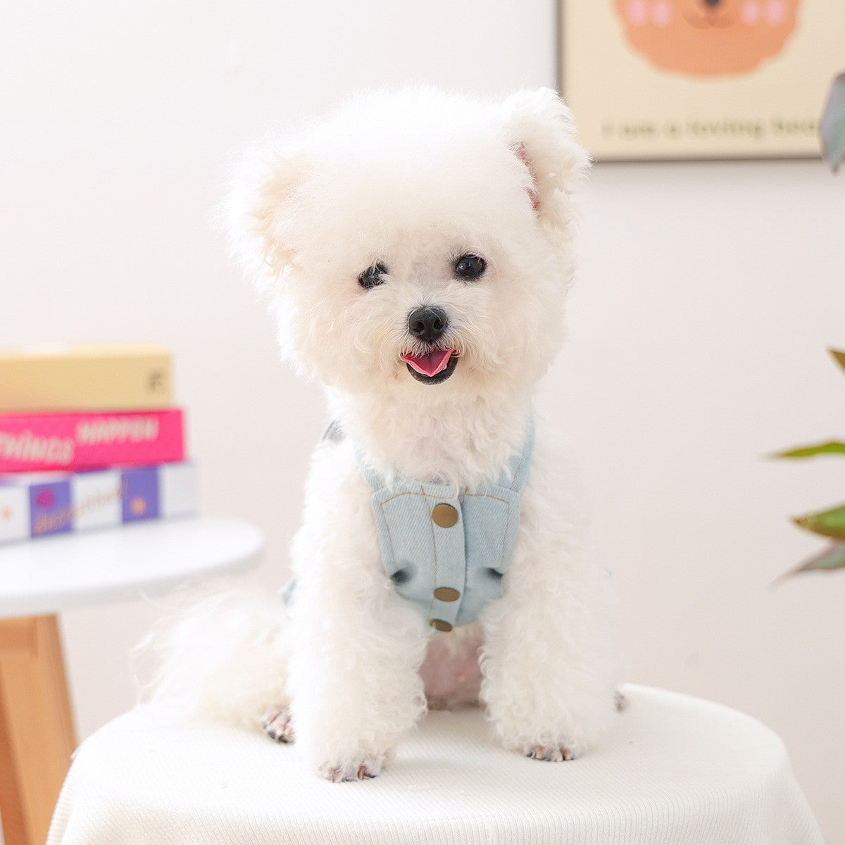 Pet Cozy Denim Dress Cute Heart Skirt_CWMM13012