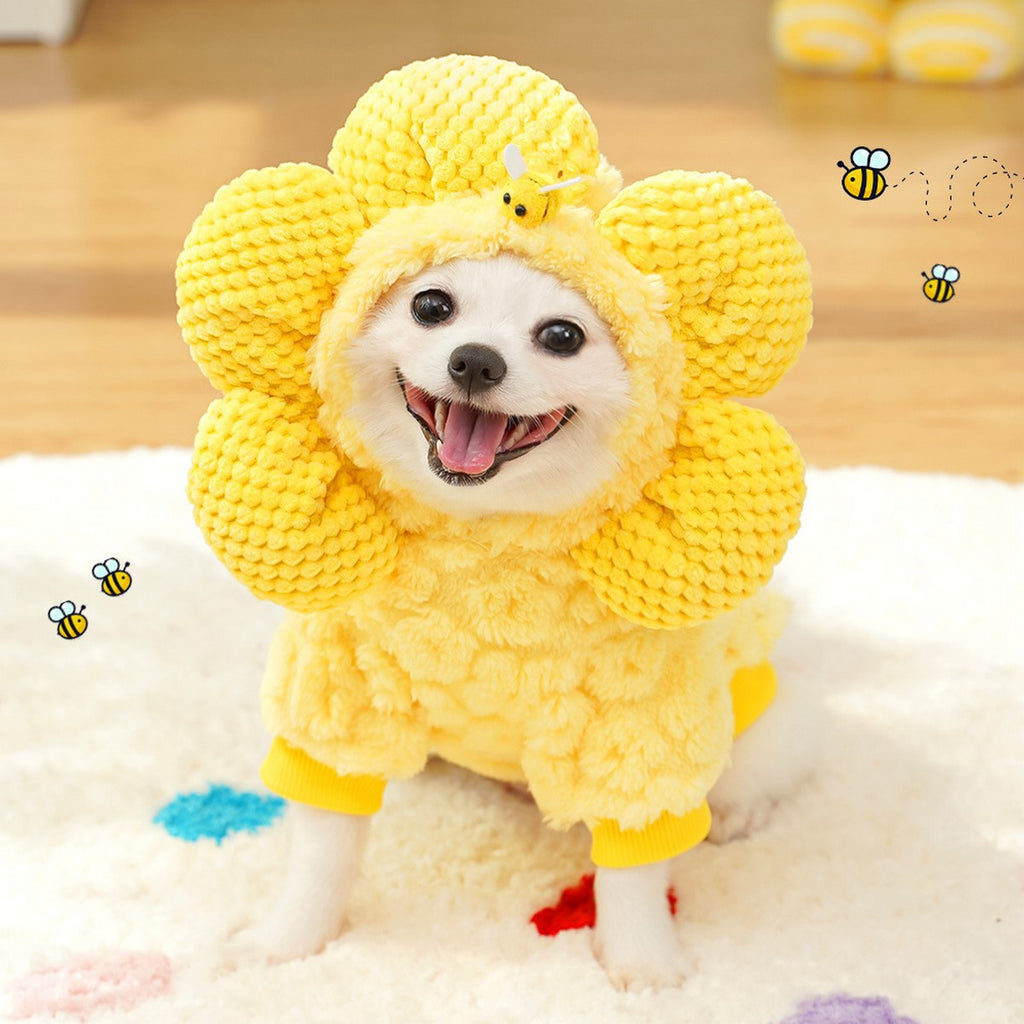 Sunflower Pet Hoodie – Warm Funny Dog Cat Wear_CWMM11155