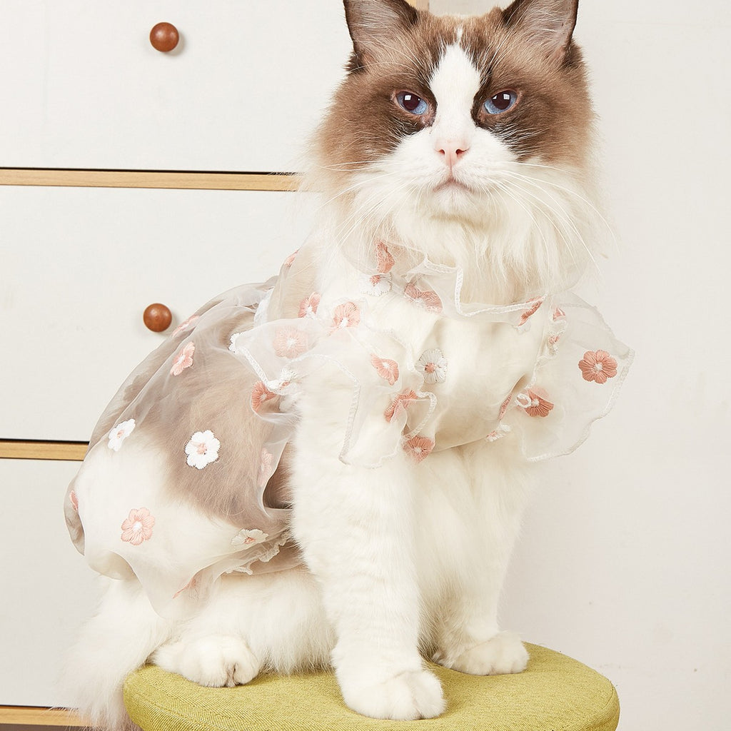 Puff Sleeve Pet Dress Embroidered Daisy_CWMM13246