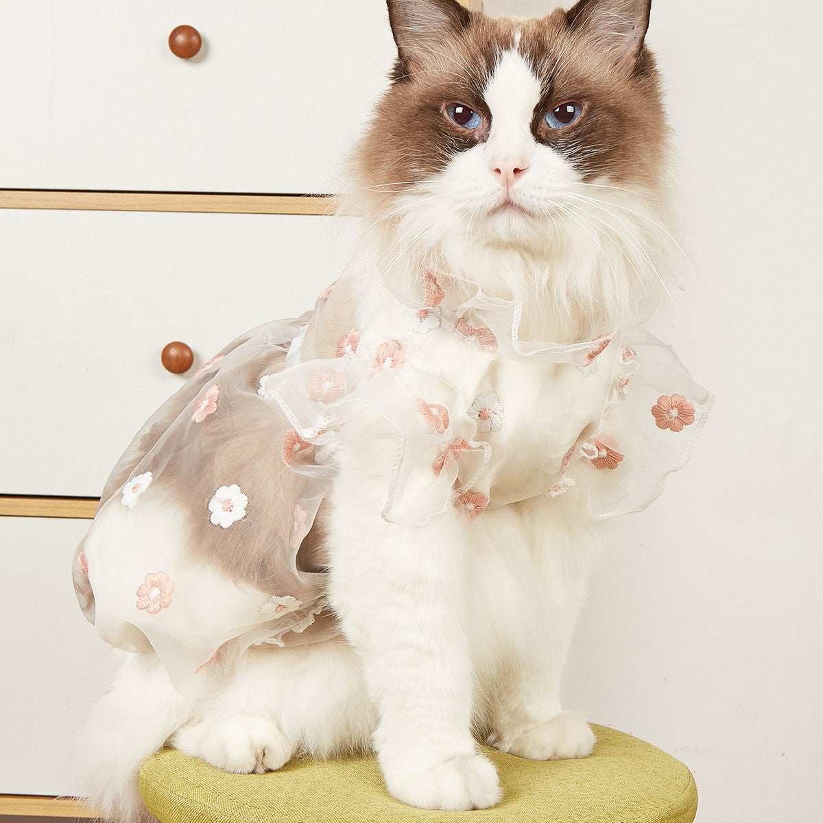 Puff Sleeve Pet Dress Embroidered Daisy_CWMM13246