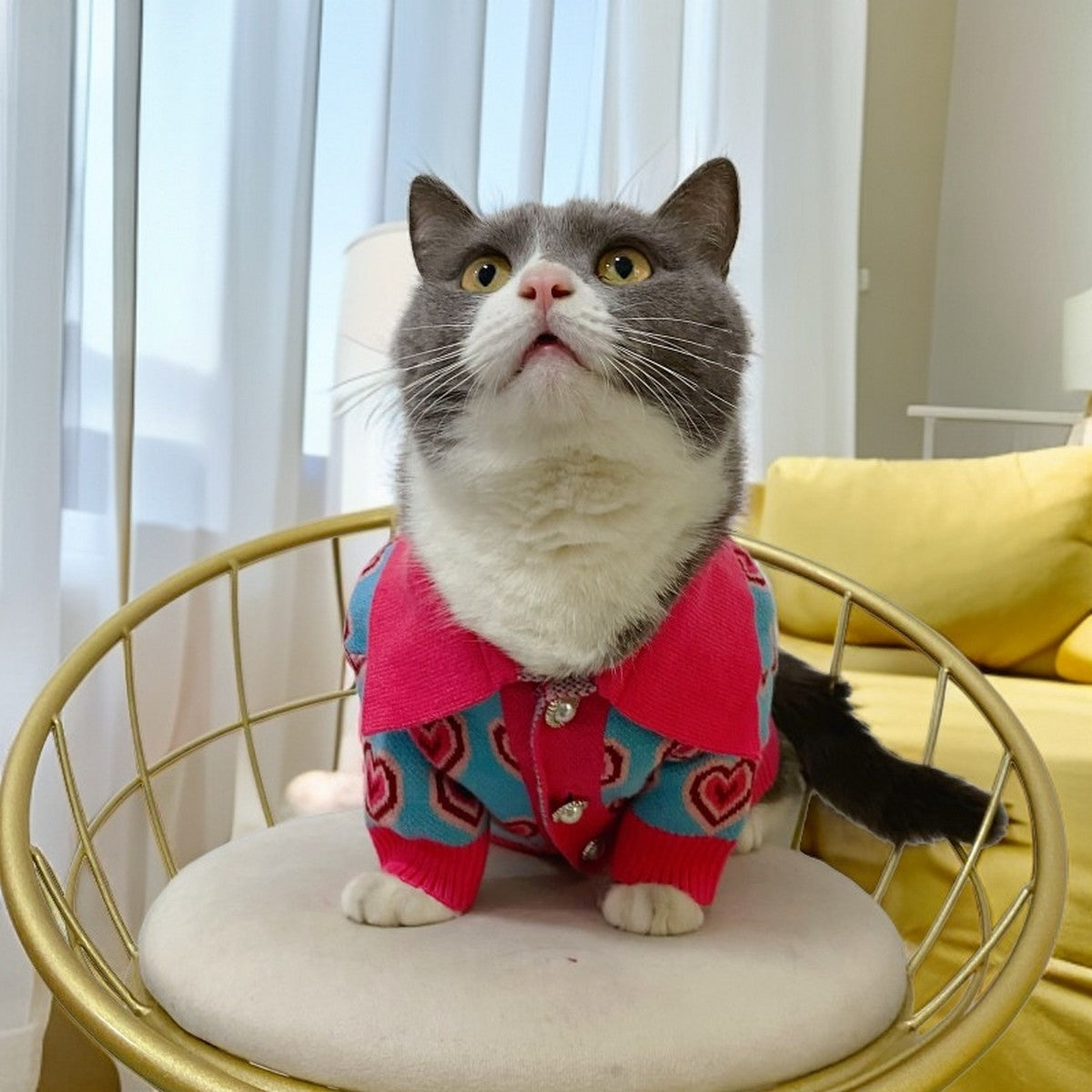 Fashion Heart Collar Dog Cat Sweater_CWMM12352