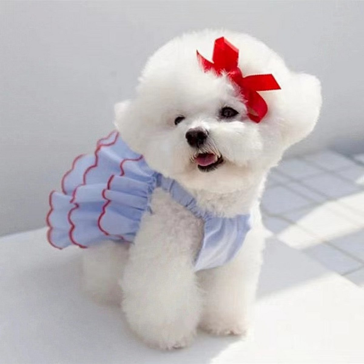 Cute Summer Pet Dress – Breathable Outfit_CWMM11170
