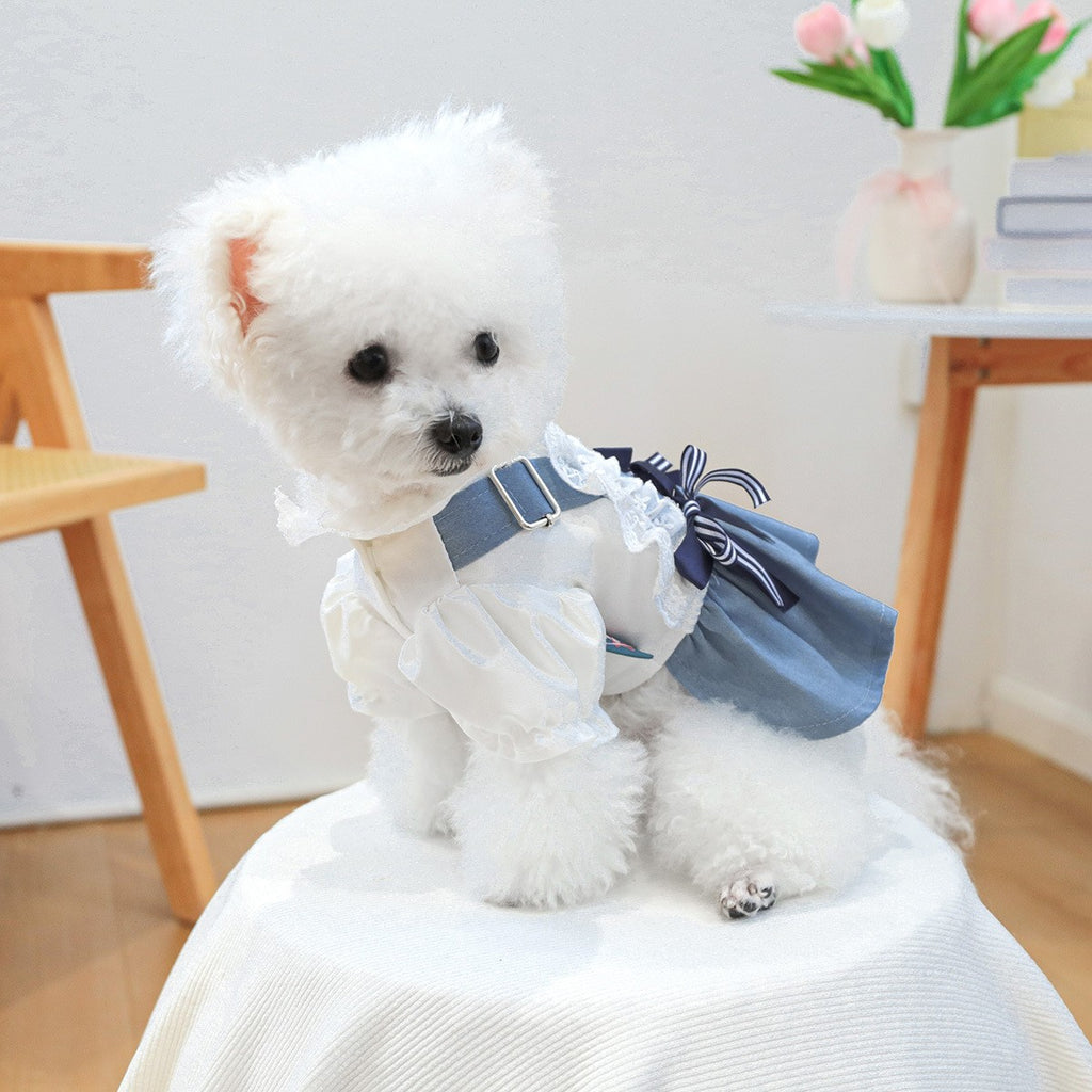 Pet Cozy Denim Dress Summer Beach Skirt_CWMM13045