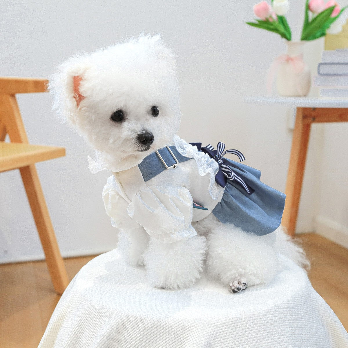 Pet Cozy Denim Dress Summer Beach Skirt_CWMM13045