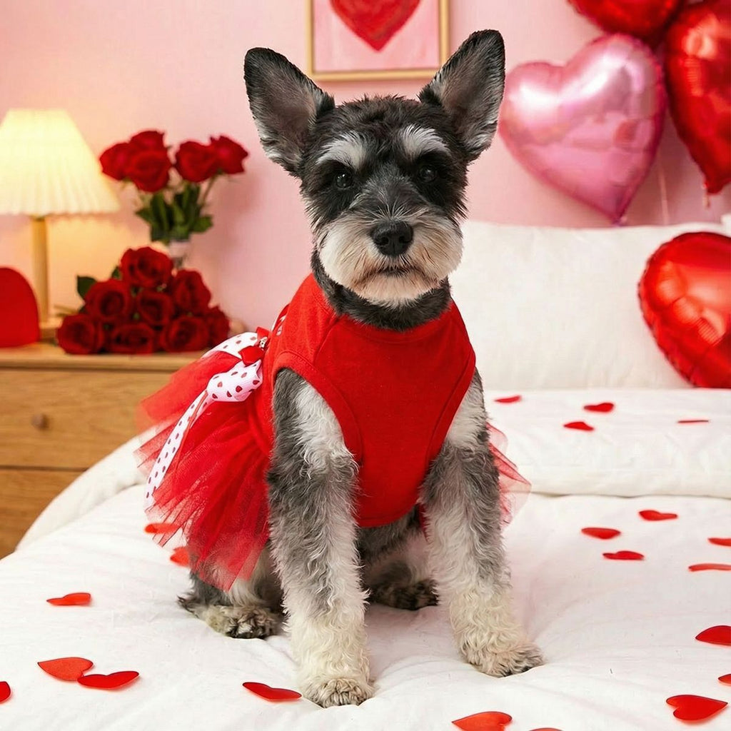 Cute Pet Sweet Princess Tulle Dress_CWMM13088