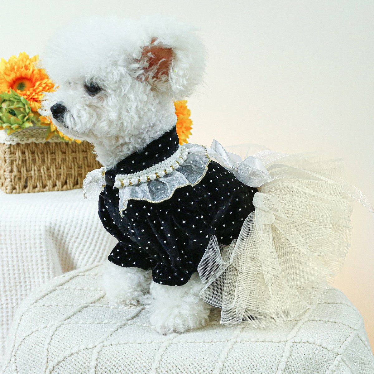 Cute Pet Princess Dress Tulle Lace Skirt_CWMM13013