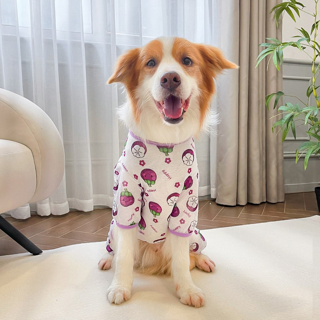 Spring Summer Cat & Dog Rompers_CWMM11132
