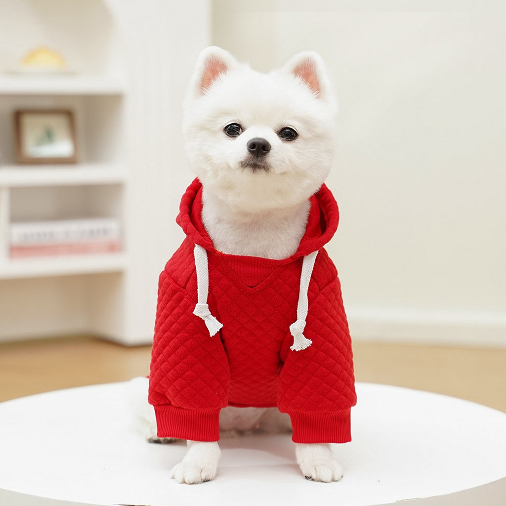 Sporty Pet Hoodie – Warm Fall & Winter Outfit_CWMM11082