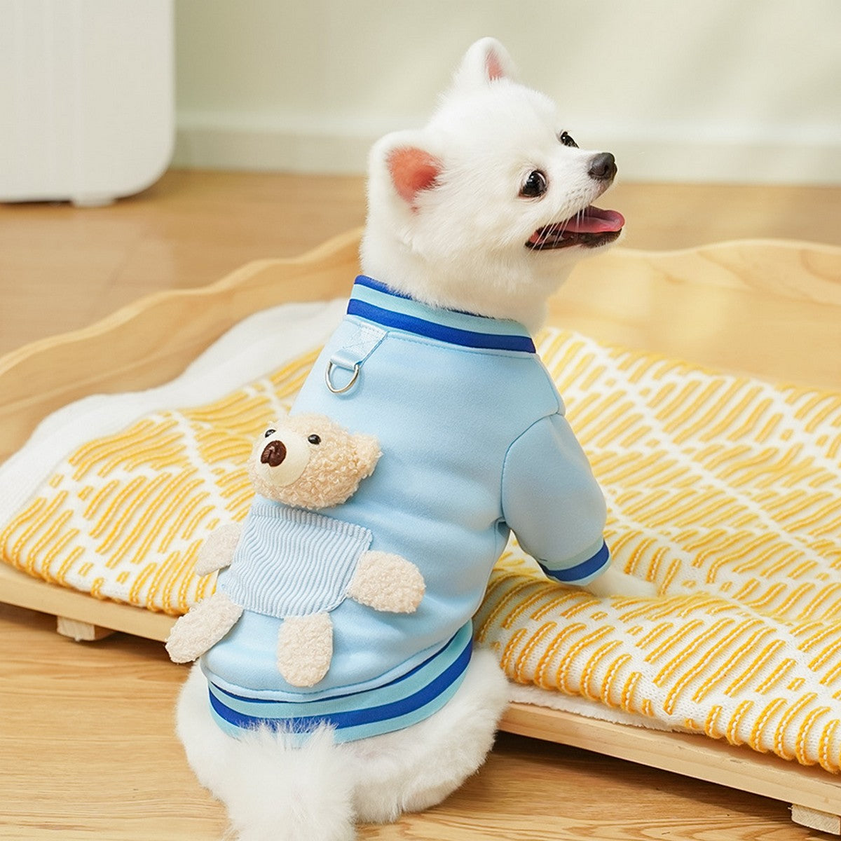 Trendy Pet Jacket – Warm Sporty Baseball Look_CWMM11169