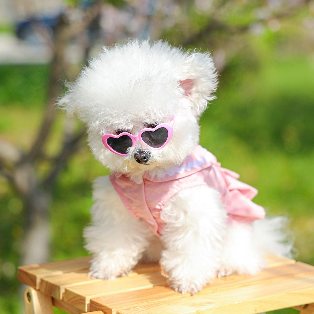 Dog Cute Heart Tutu Dress Harness Outfit_CWMM13092