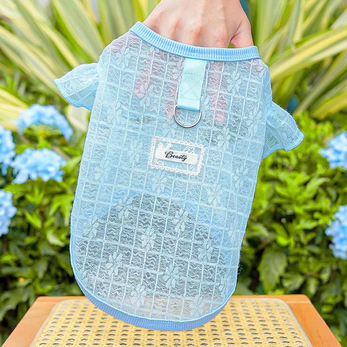 Flutter Sleeve Top with Soft Stretch_CWMM11127