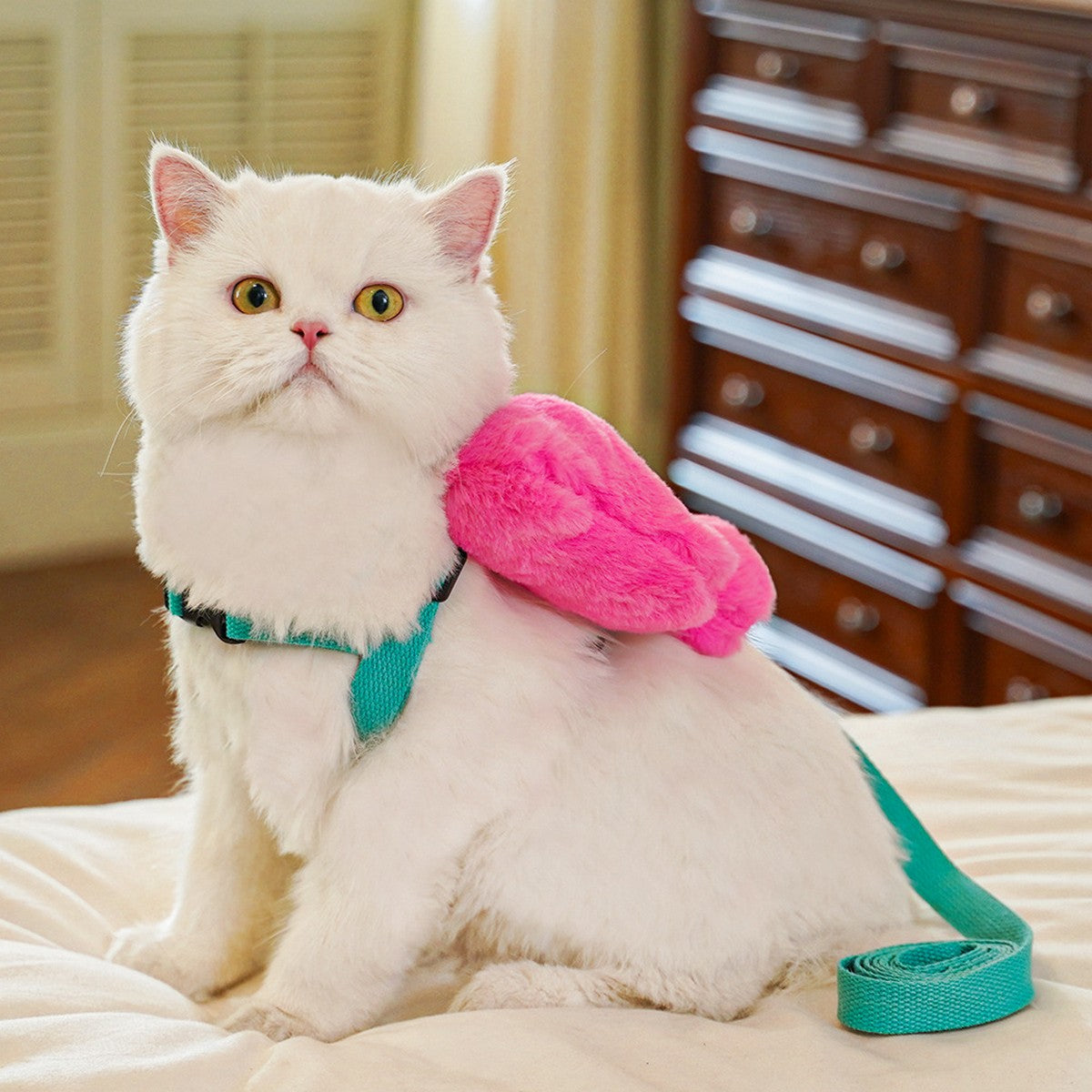 Pet Harness Leash – Bow Design Dog Cat Set_CWMM11297