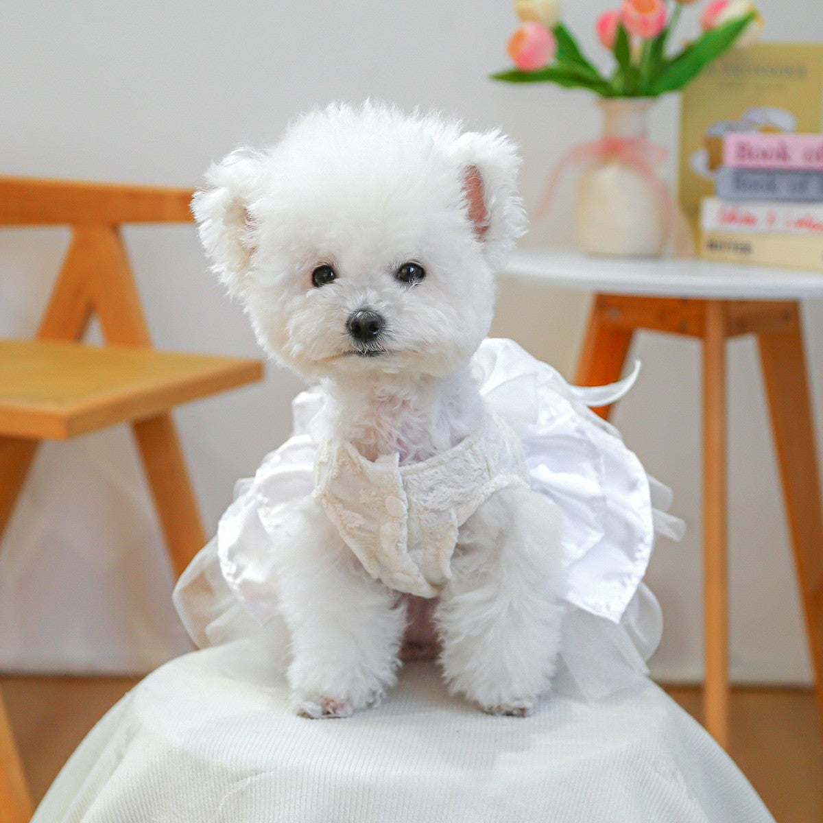 Cute Pet Ballet Tulle Princess Dress_CWMM13091