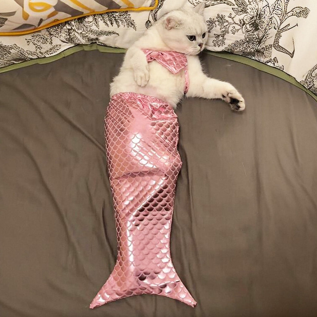 Pet Standing Mermaid Costume Outfit_CWMM12880
